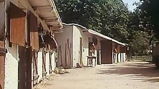 Virginites A Prendre (1981, France, full movie, DVD rip)